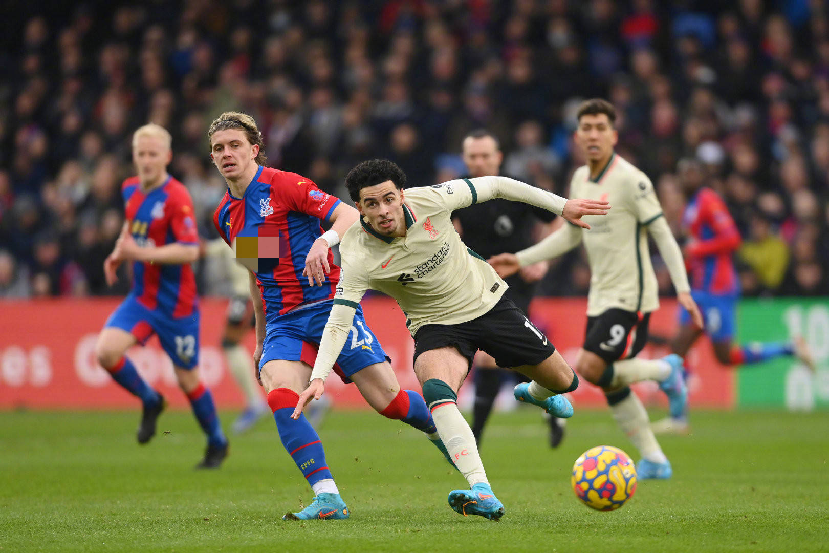 对数据的依 对数据的依